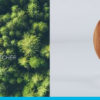BDO Chooses Sustainable Awards with Distinctive Appeal bdo-post-header