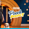 Golden Stanley Takes Starring Role in Pooch Perfect poochperfect-post-header