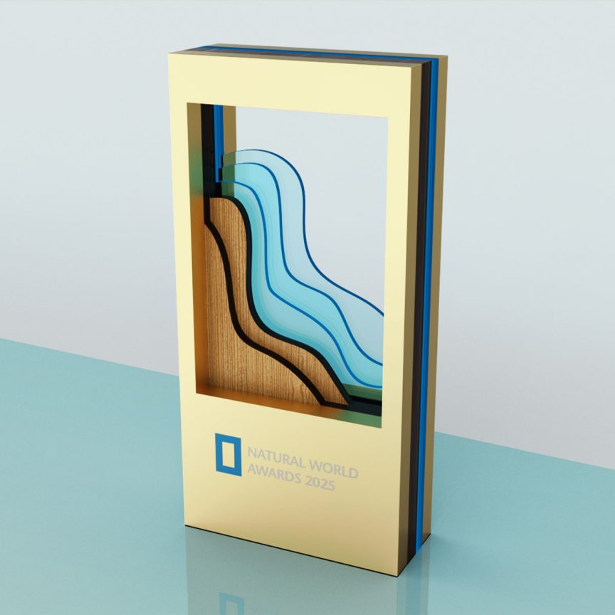 Natural World Award